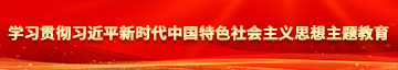 操操插处女白虎学习贯彻习近平新时代中国特色社会主义思想主题教育